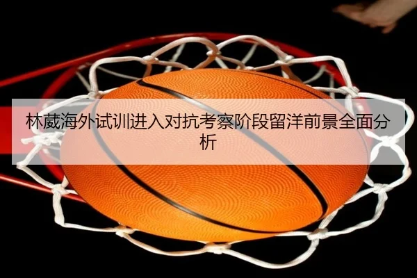 林葳海外试训进入对抗考察阶段留洋前景全面分析
