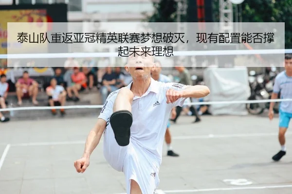 泰山队重返亚冠精英联赛梦想破灭，现有配置能否撑起未来理想 - PINBO.COMapp