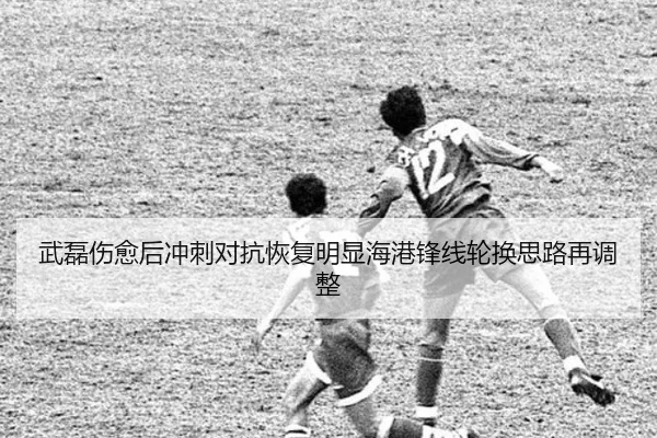 武磊伤愈后冲刺对抗恢复明显海港锋线轮换思路再调整 - PINBO.COMapp