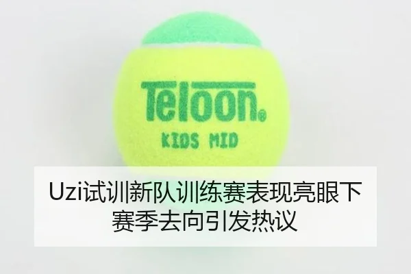 Uzi试训新队训练赛表现亮眼下赛季去向引发热议 - PINBO.COMapp